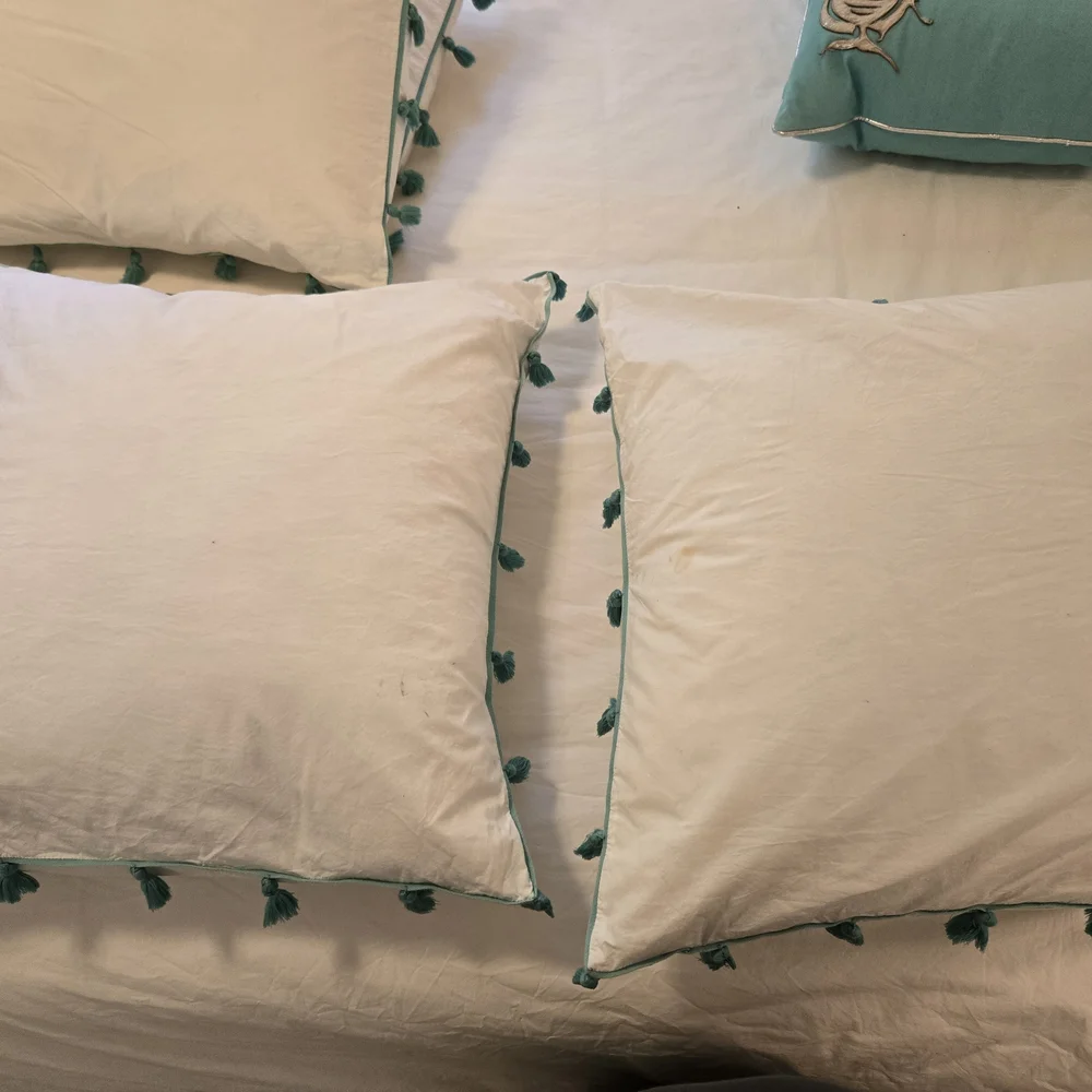 PBTeen Queen Duvet, Standard Shams and Euro Shams in Pool